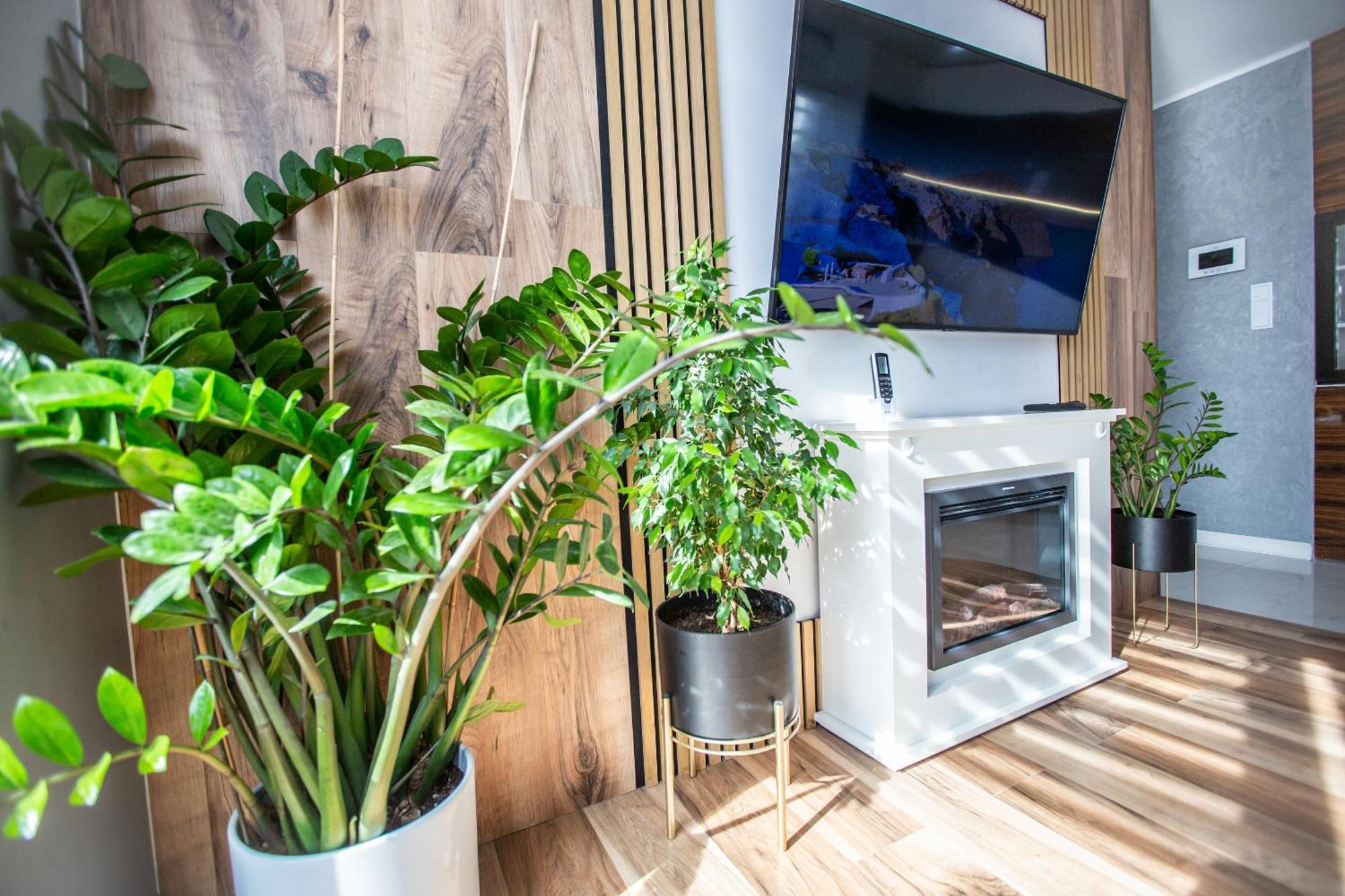 Wlodarska 4A Apartament Premium คราคูฟ ภายนอก รูปภาพ